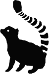 feuchtnasenaffe